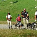 Husky Trekking