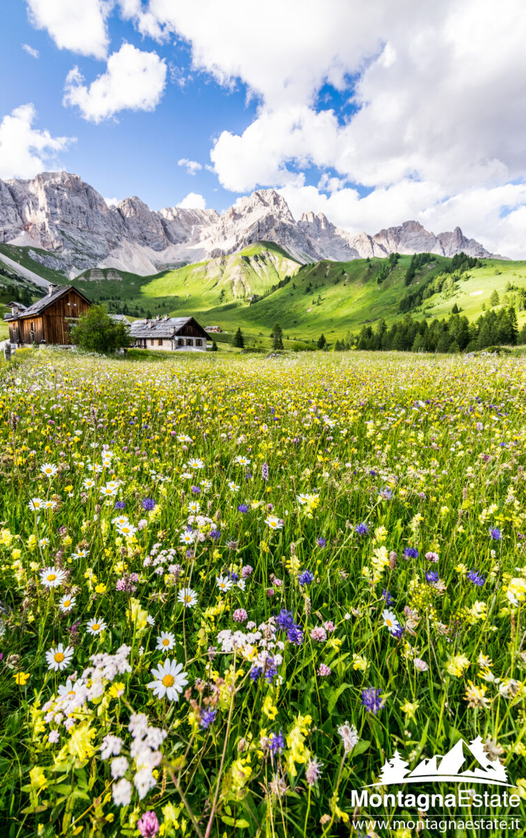 Prati Fioriti al Fuciade